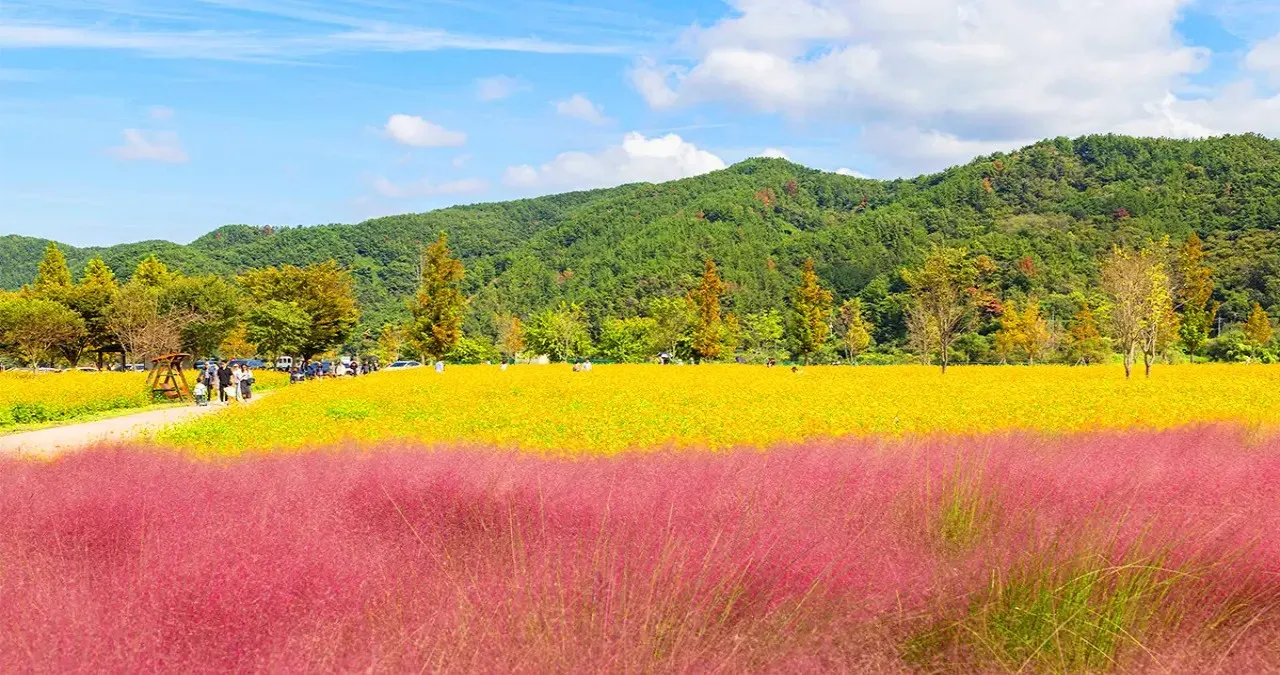 호국의병의 숲 친수공원 풍경 / 사진=한국관광콘텐츠랩