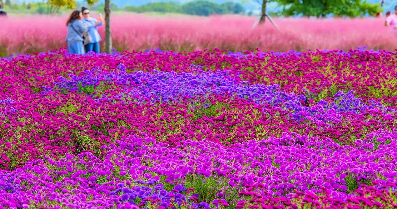 호국의병의 숲 친수공원 / 사진=한국관광콘텐츠랩