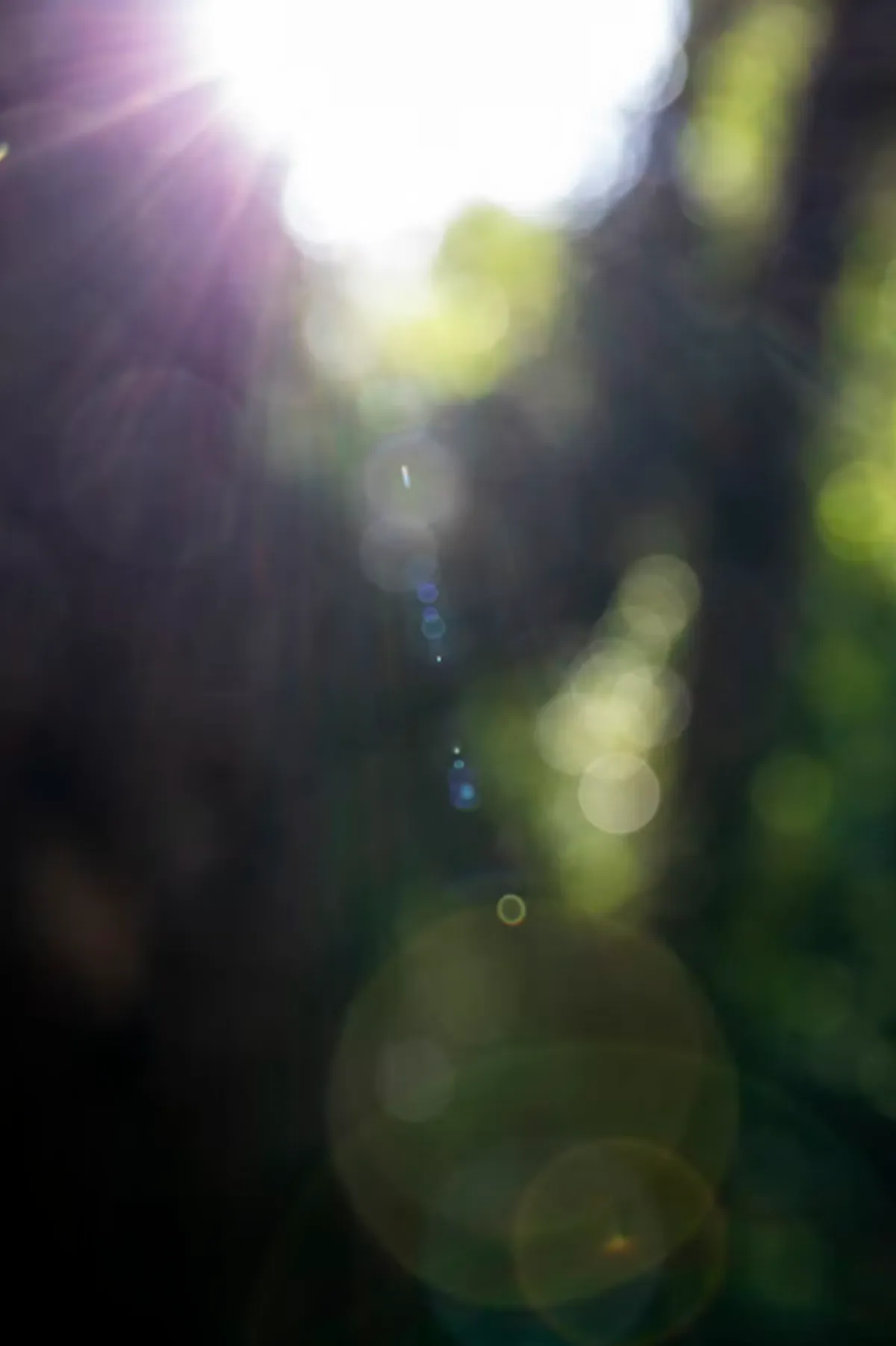 사진 : 빛 번짐 / unsplash.com