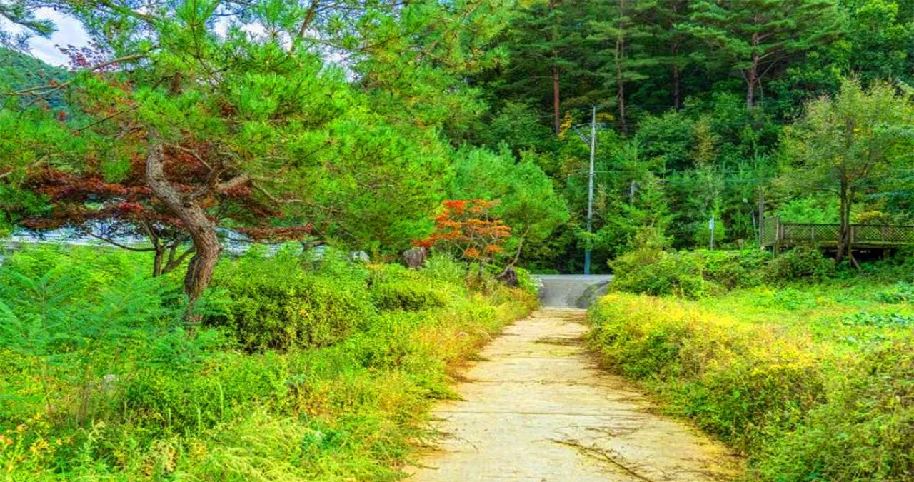 봉황둘레길 길목 / 사진=한국관광콘텐츠랩