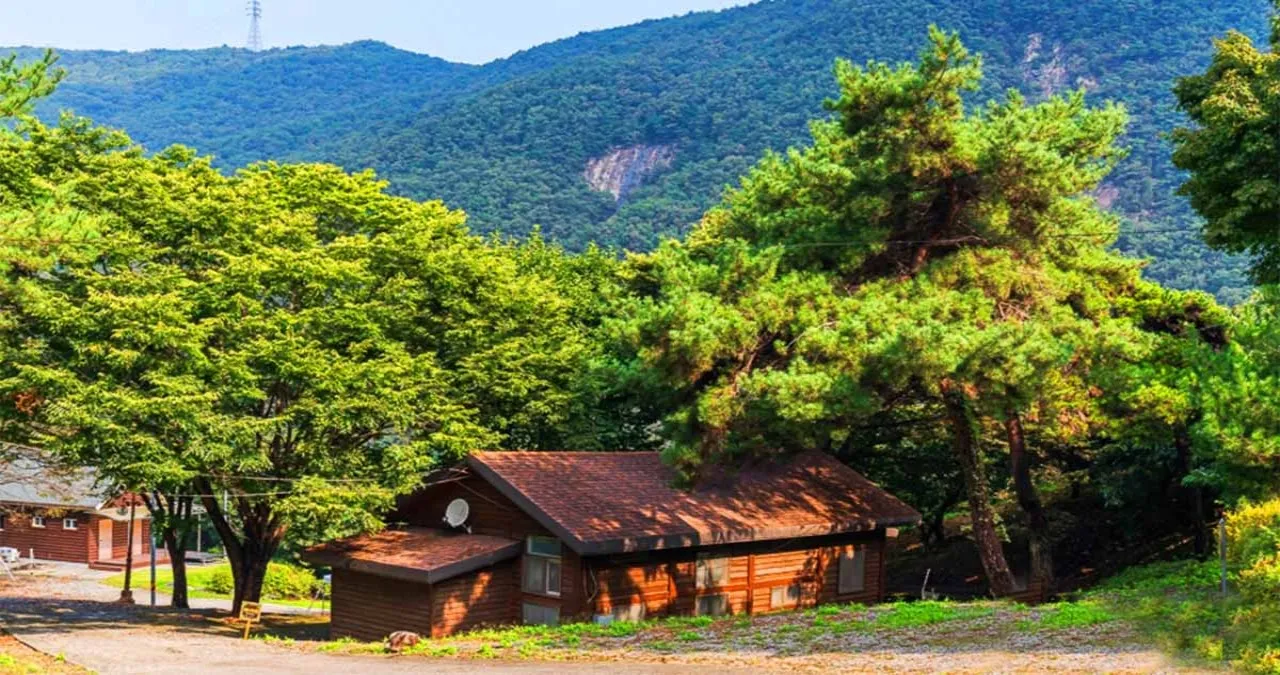 봉황자연휴양림 풍경 / 사진=한국관광콘텐츠랩