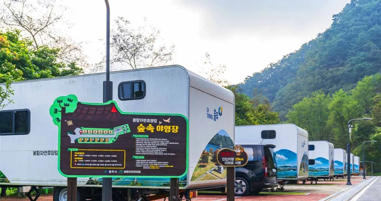 봉황자연휴양림 캠핑장 / 사진=한국관광콘텐츠랩