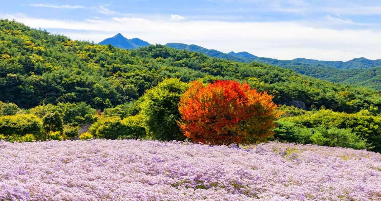 문희농원 풍경 / 사진=한국관광공사 박장용