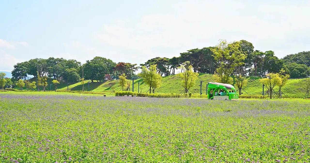 경주 월성 풍경 / 사진=경주문화관광