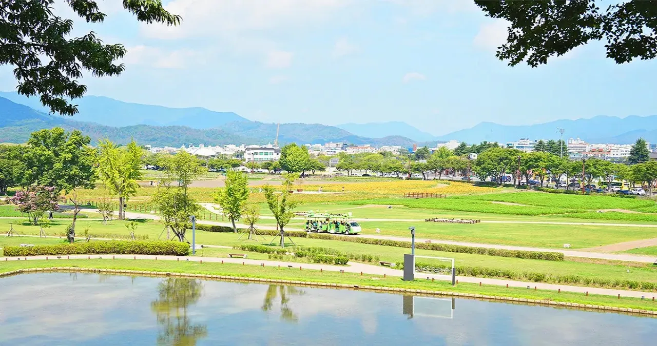 경주 월성 해자 산책로 / 사진=경주문화관광