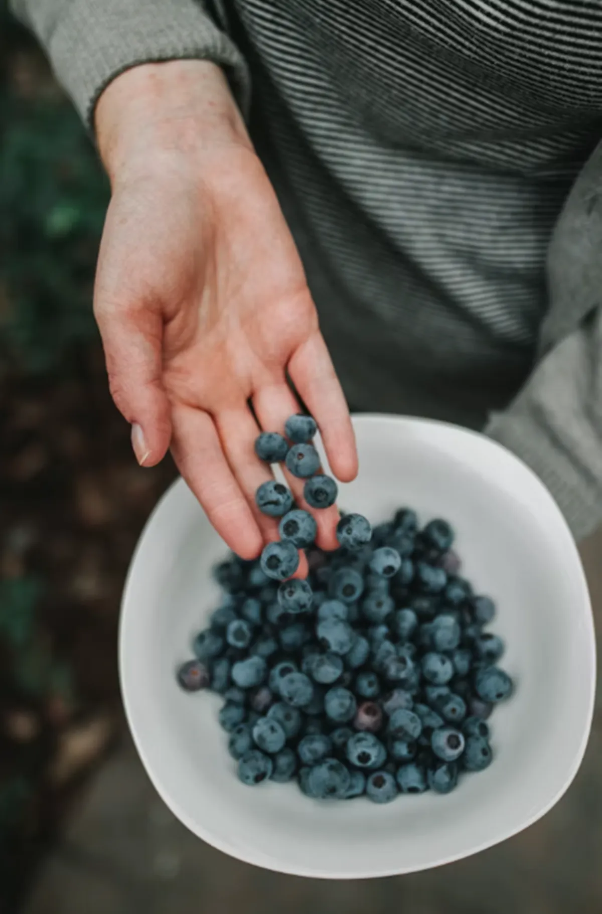사진 : 블루베리 / unsplash.com