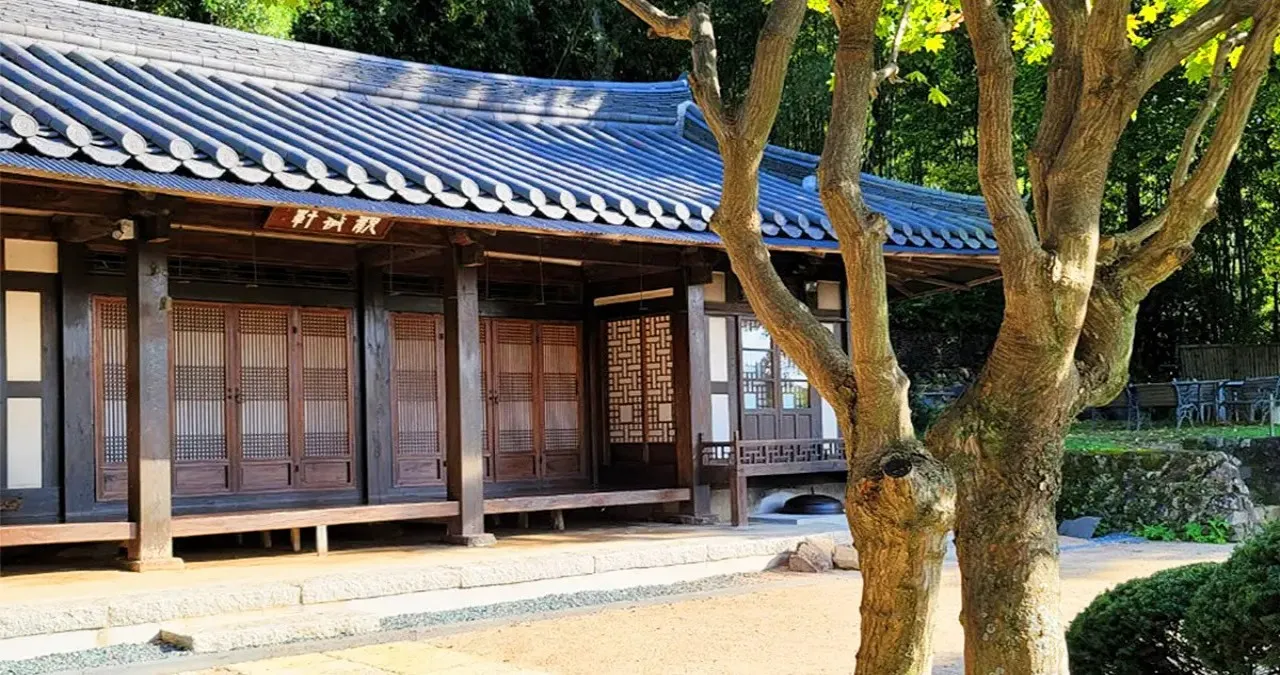 아홉산숲 모습 / 사진=아홉산숲
