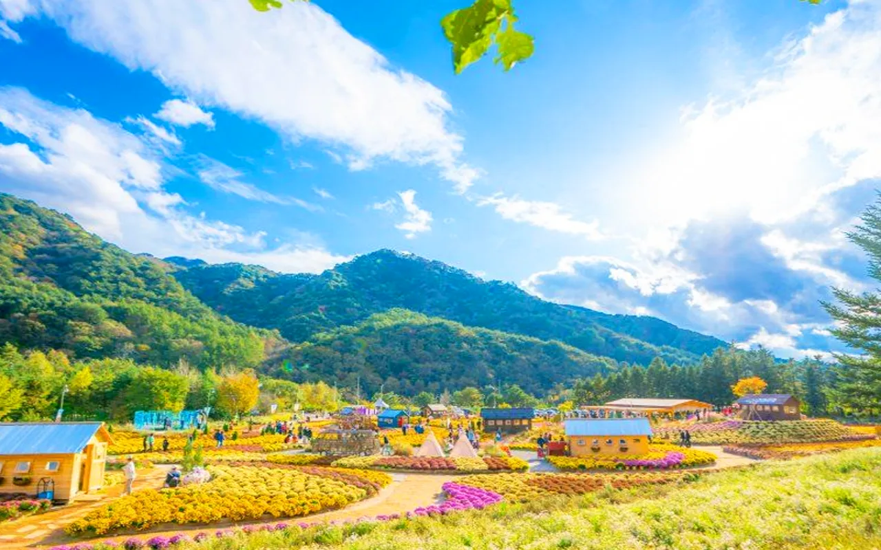 인제가을꽃축제 / 사진=한국관광콘텐츠랩