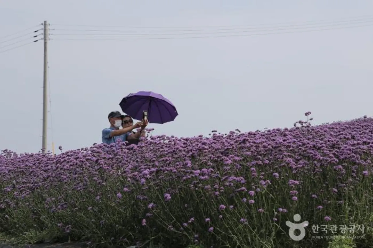 사진=한국관광공사