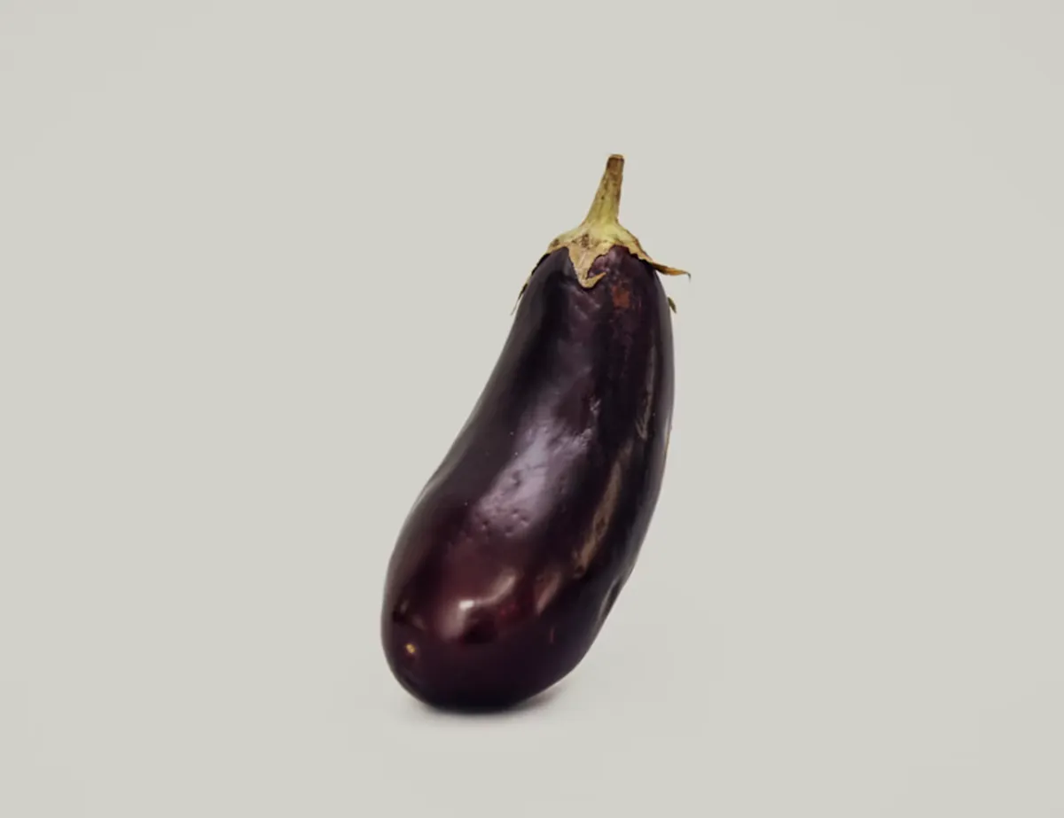 사진 : 가지 / unsplash.com
