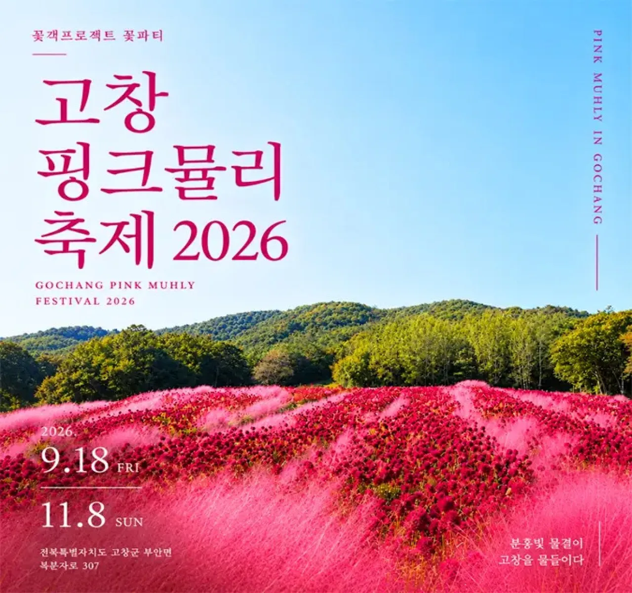 고창 핑크뮬리 축제 2026 포스터 / 사진=꽃객프로젝트