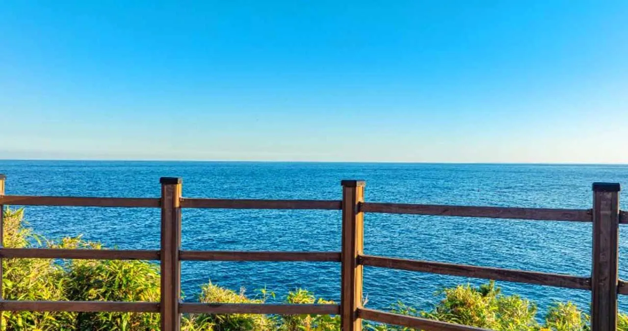 죽도산전망대 조망 / 사진=한국관광콘텐츠랩