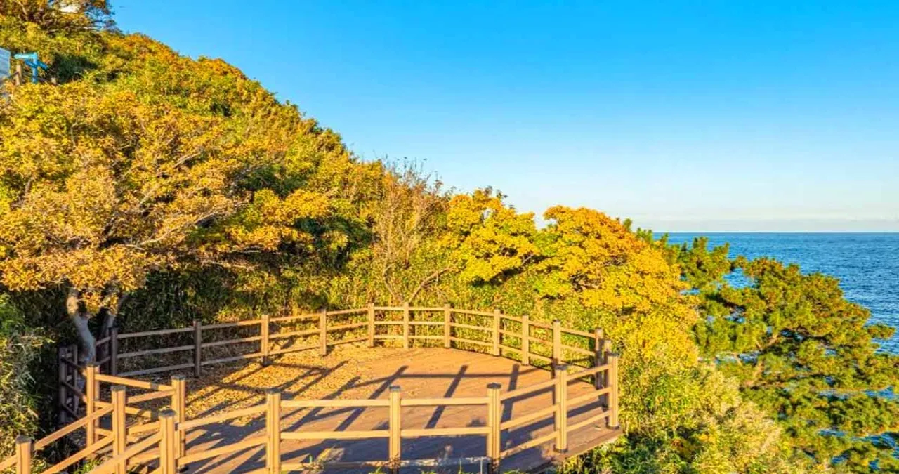죽도산전망대 야외 데크 전망대 / 사진=한국관광콘텐츠랩