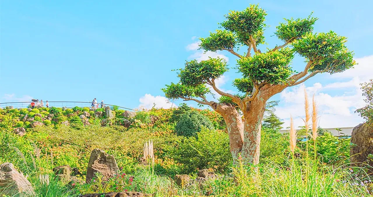 제주동화마을 풍경 / 사진=제주동화마을 인스타그램