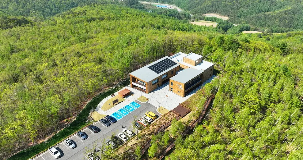 태백 매봉산 천상의 숲 / 사진=매봉산천상의숲