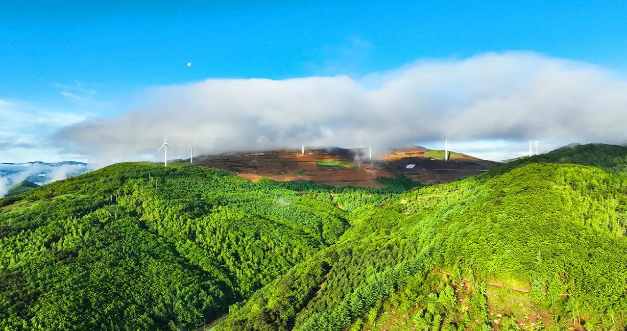 매봉산 천상의 숲 풍경 / 사진=매봉산천상의숲