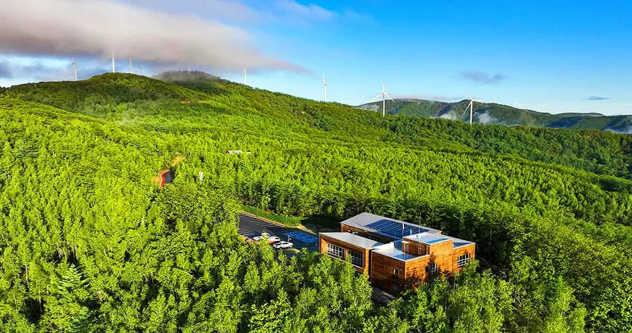 매봉산 천상의 숲 전경 / 사진=매봉산천상의숲