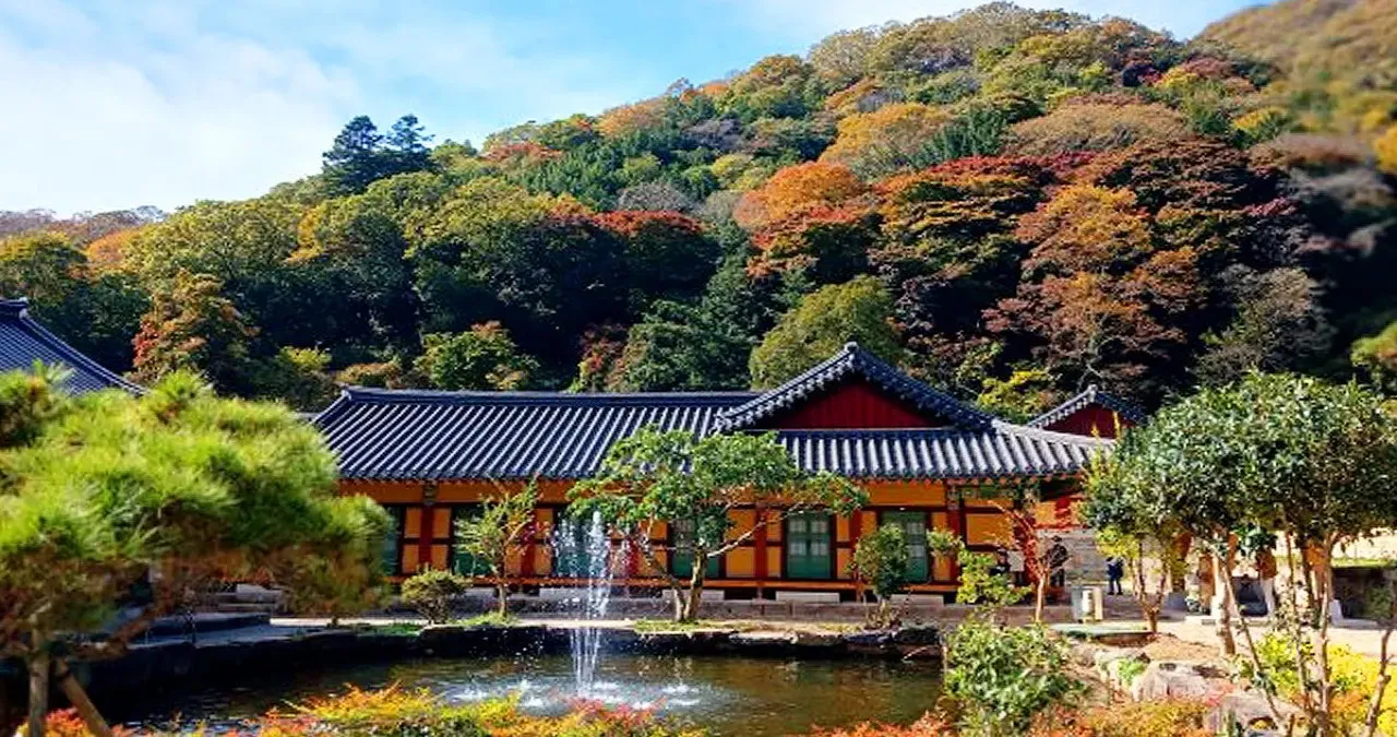 백양사 풍경 / 사진=백양사