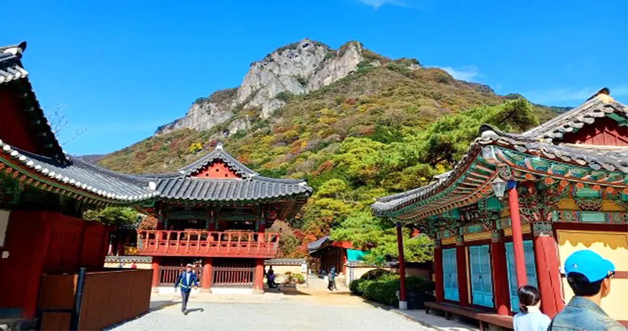 백양사 모습 / 사진=백양사