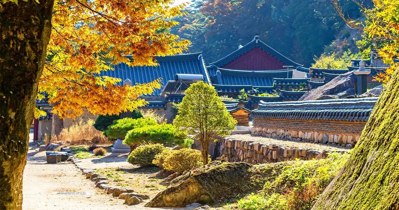 법주사 풍경 / 사진=한국관광콘텐츠랩