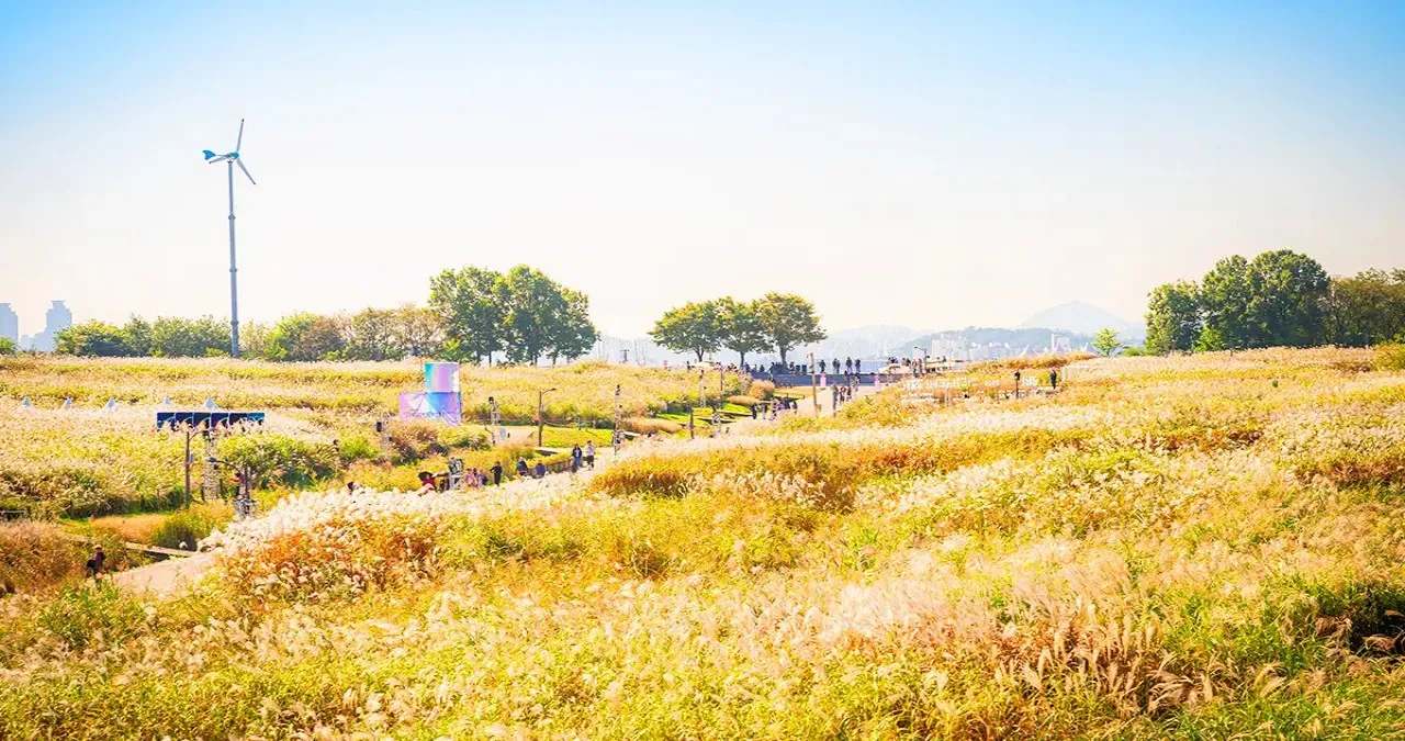 하늘공원 풍경 / 사진=서울관광 아카이브