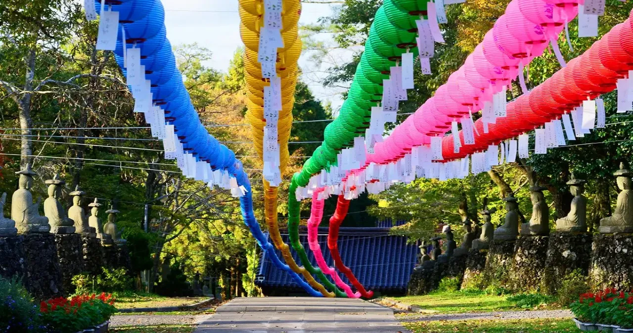 제주 관음사 가는 길 / 사진=제주 관음사