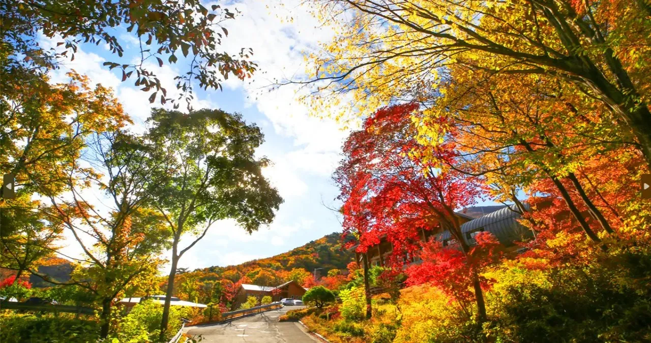 국립청도숲체원 가을 풍경 / 사진=국립청도숲체원