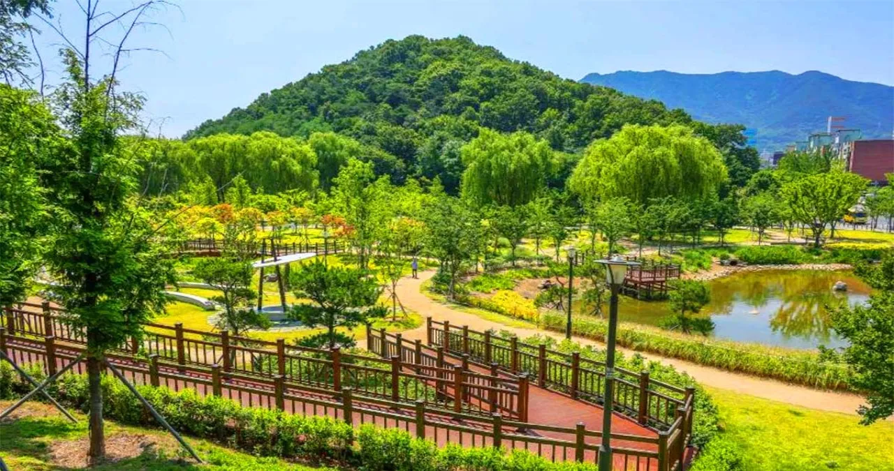 대구 대표 도시숲 경관 / 사진=한국관광콘텐츠랩