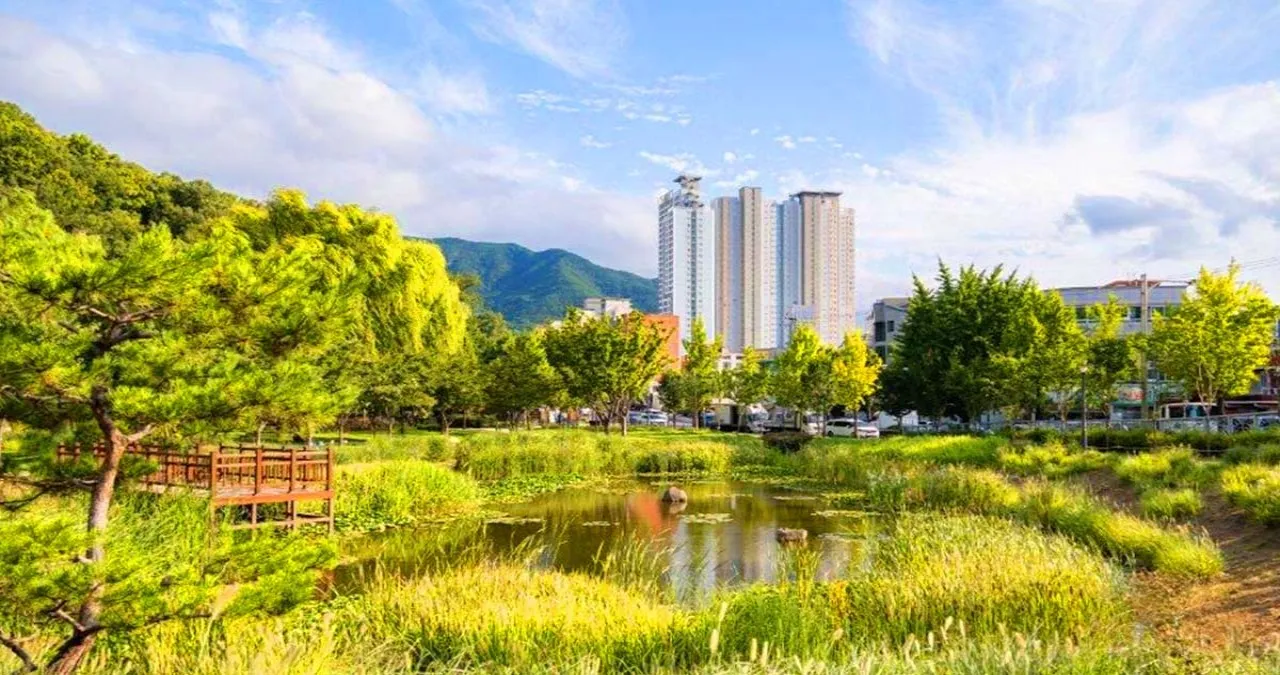 대구 대표 도시숲 도심뷰 / 사진=한국관광콘텐츠랩