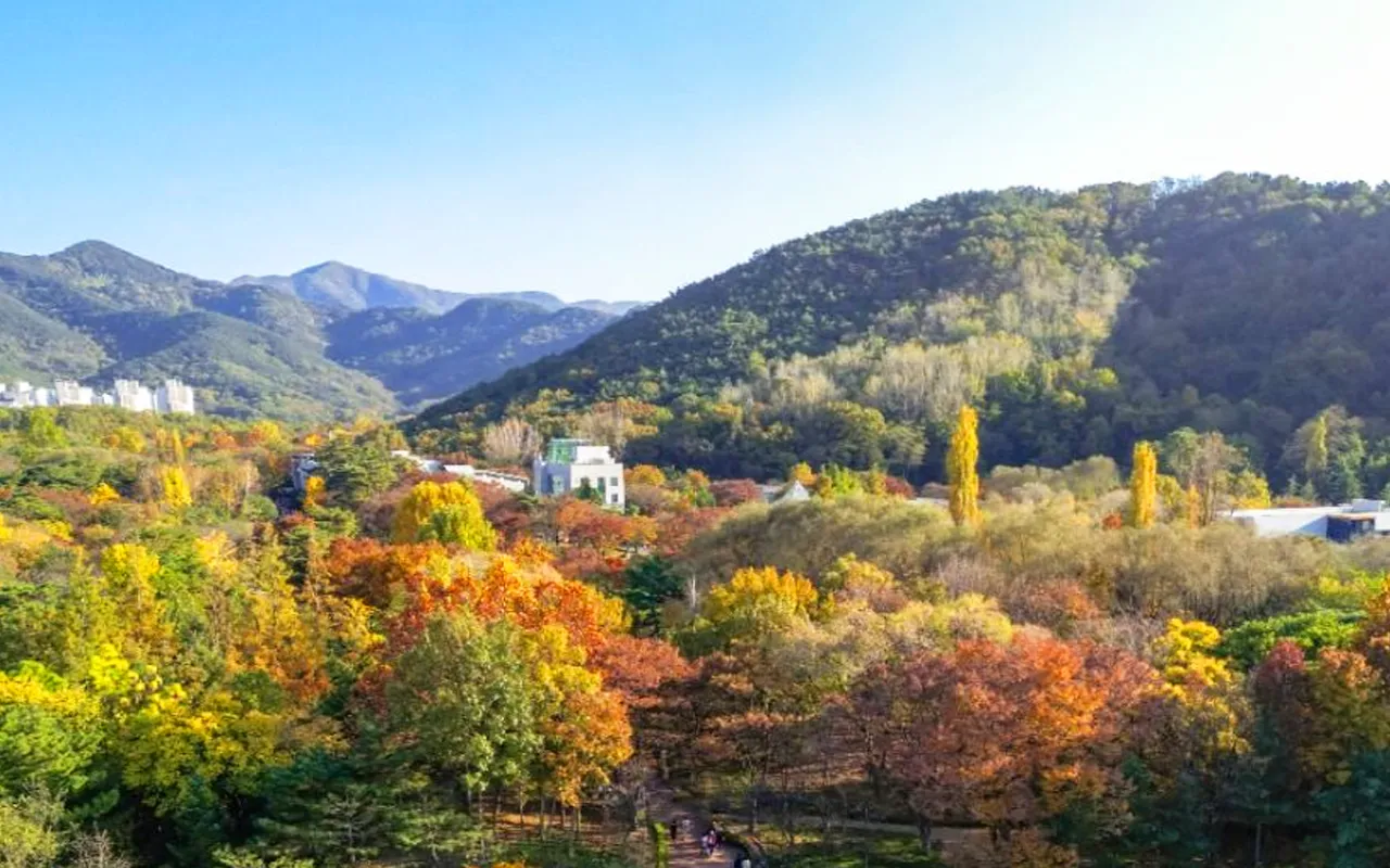 대구두류공원 / 사진=한국관광콘텐츠랩