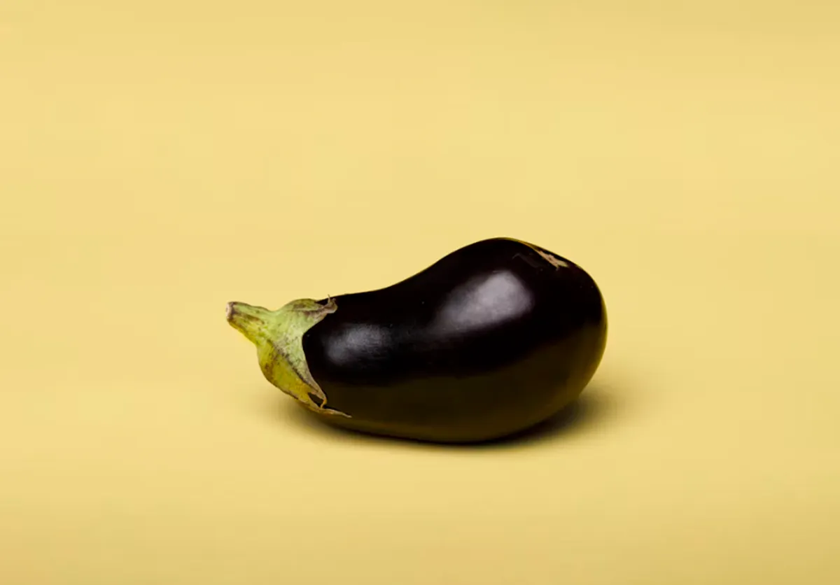 사진 : 가지 / unsplash.com