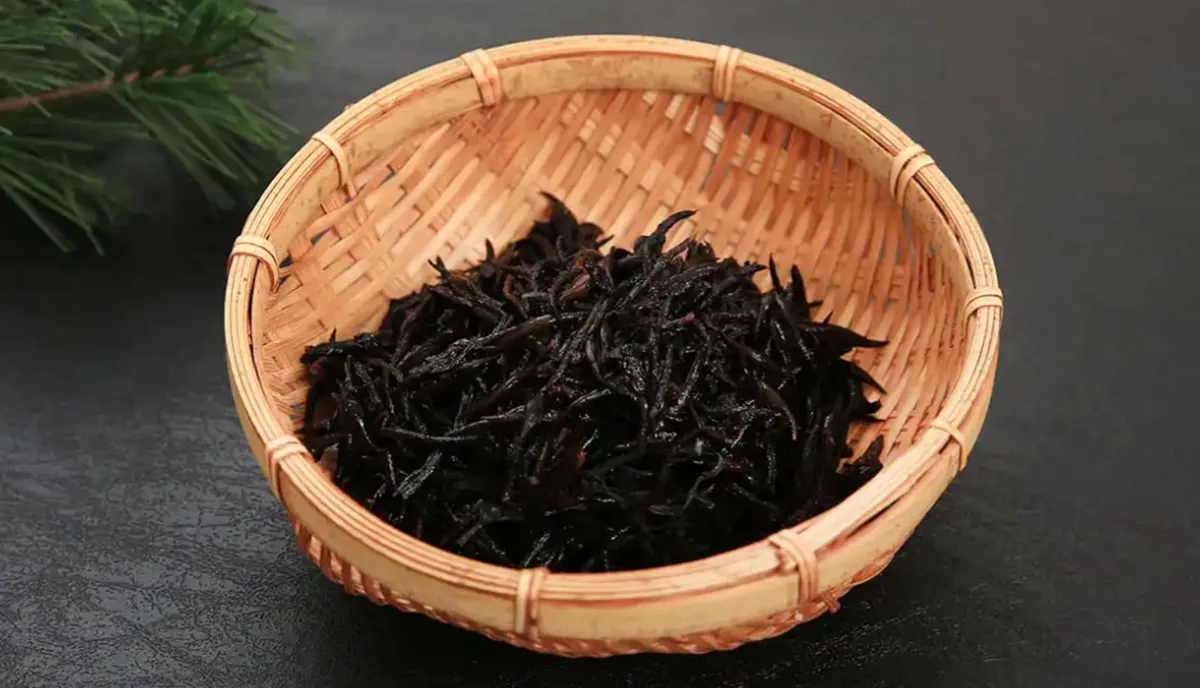 사진 : 톳  / 생성형 이미지