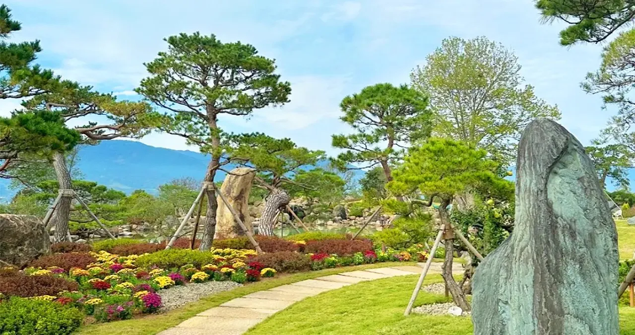 반야원 플라타너스 풍경 / 사진=반야원 플라타너스