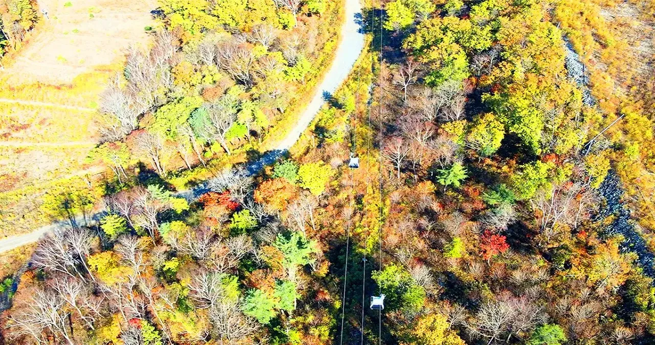 가리왕산 케이블카 풍경 / 사진=가리왕산 케이블카