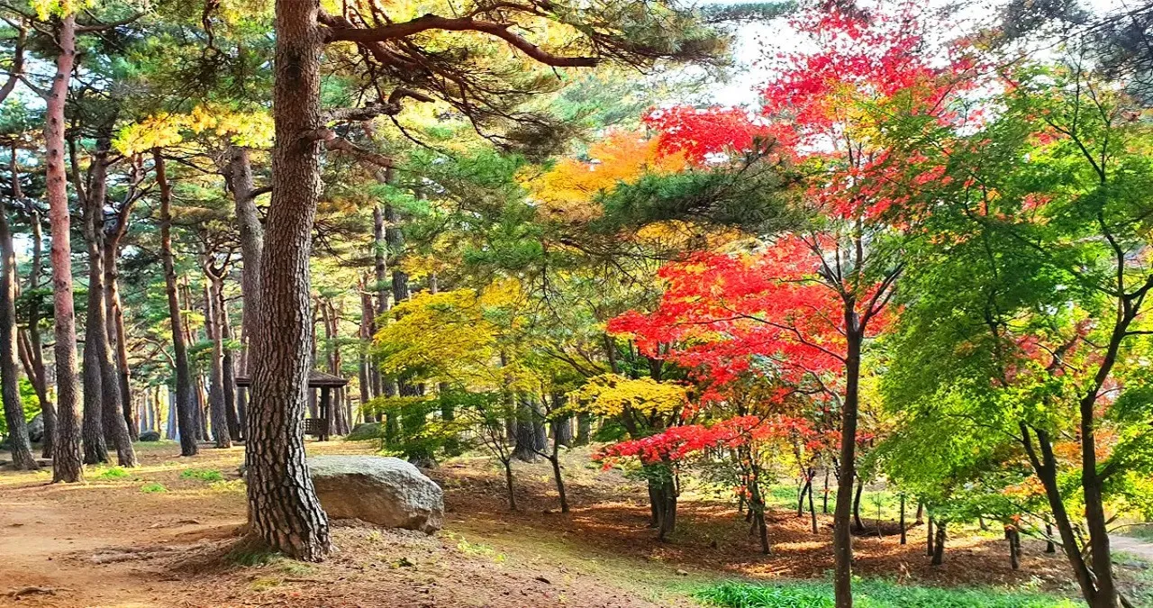 척산온천휴양촌 산책길 / 사진=척산온천휴양촌