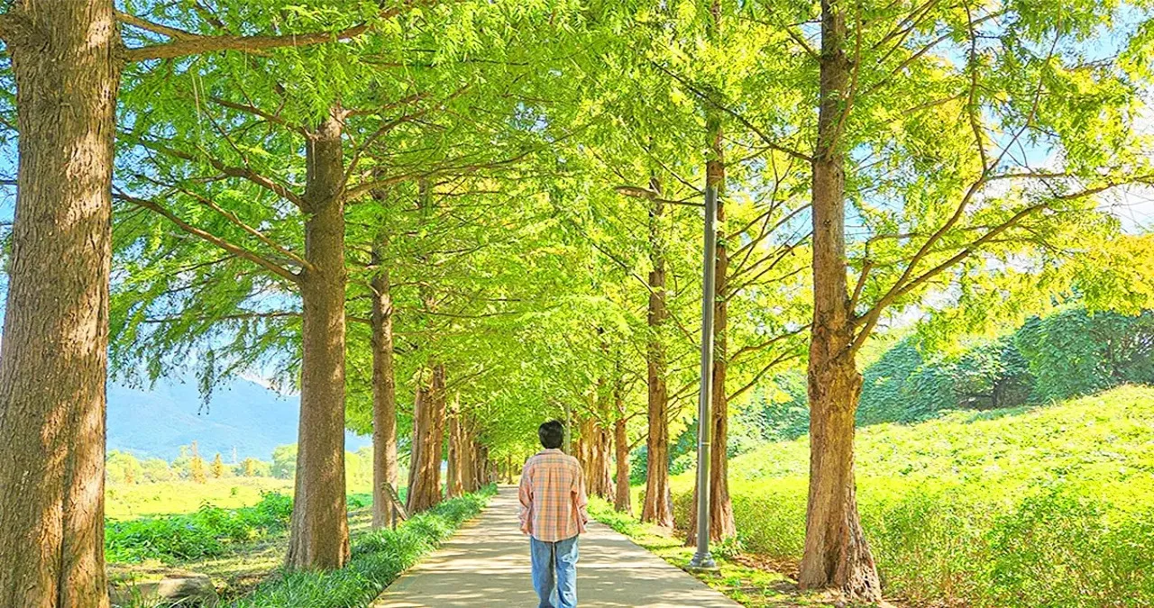 하남 당정뜰 / 사진=경기관광플랫폼