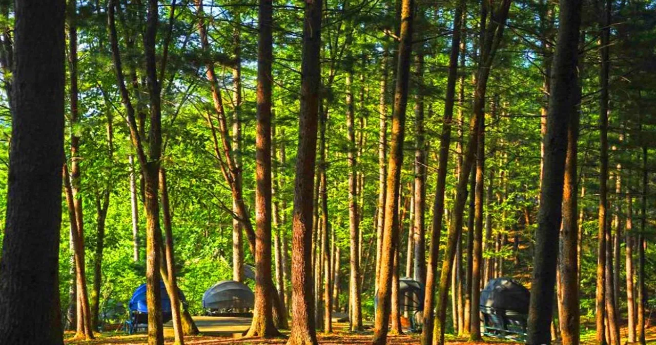 봉래산산림욕장 / 사진=한국관광콘텐츠랩