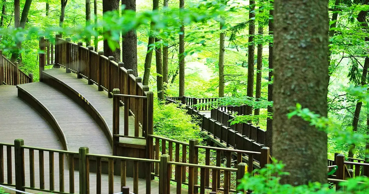 덕유산자연휴양림 산책로 / 사진=투어전북