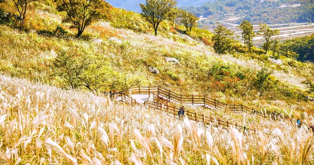 명성산 모습 / 사진=한국관광콘텐츠랩