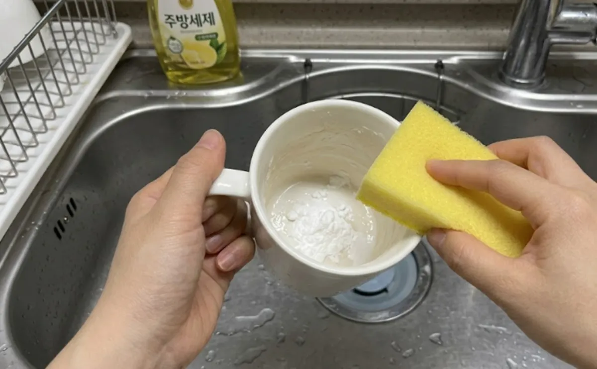 사진 : 베이킹소다  / 생성형 이미지