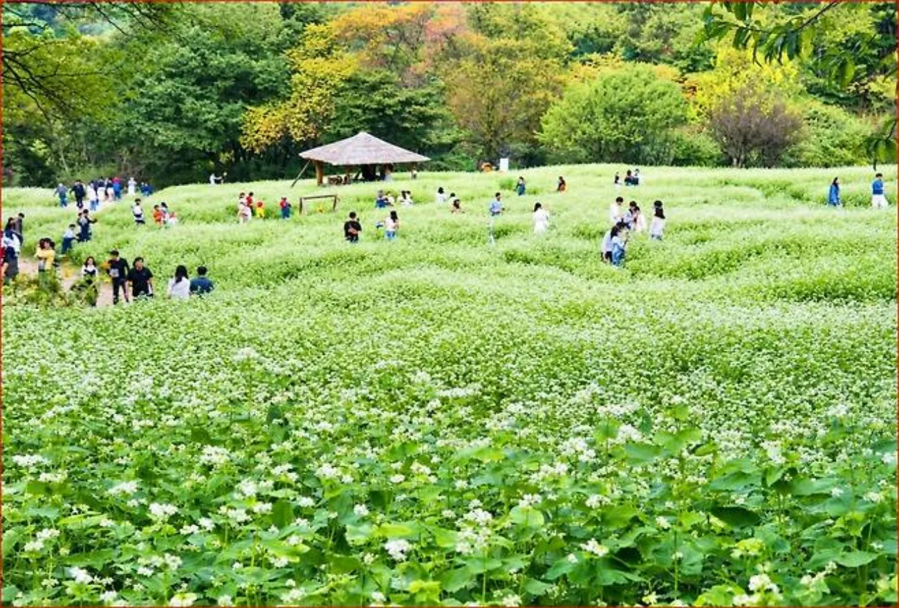 사진=한국관광공사