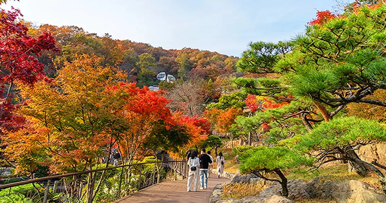 화담숲 모습 / 사진=곤지암리조트