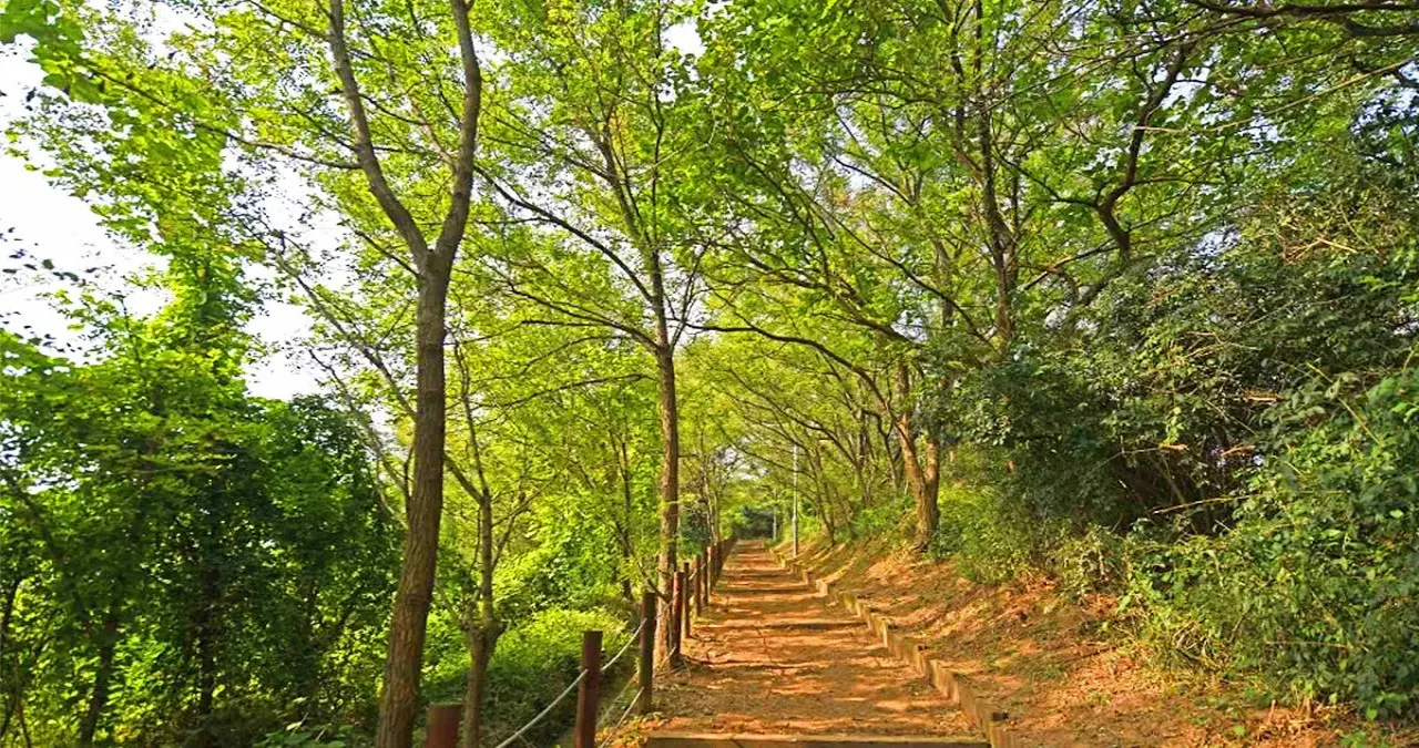 예단포 둘레길 모습 / 사진=영종구 문화관광