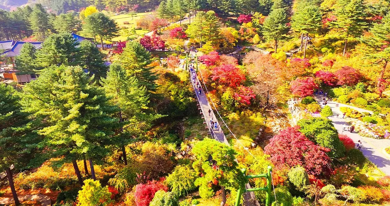 아침고요수목원 항공뷰 / 사진=아침고요수목원
