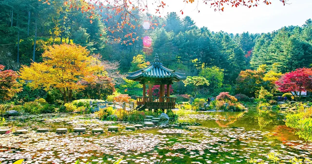 아침고요수목원 풍경 / 사진=아침고요수목원