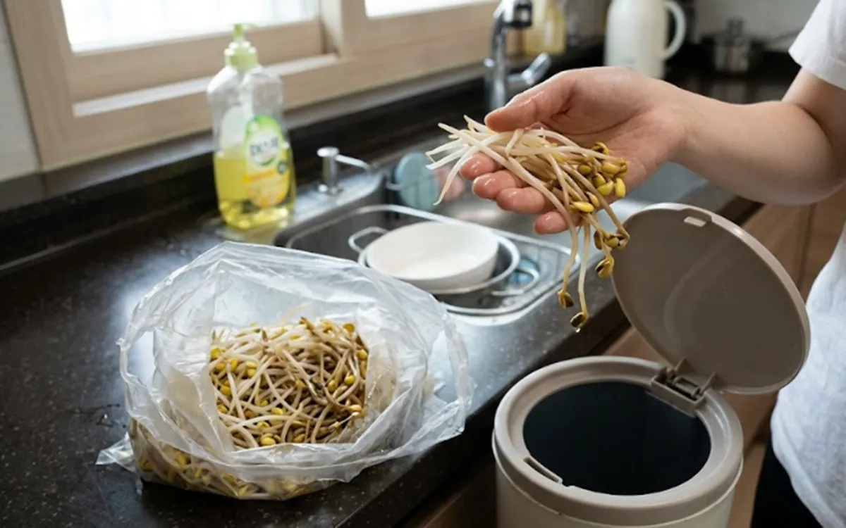 사진 : 콩나물 / 생성형 이미지