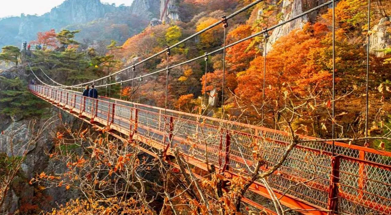 대둔산도립공원 출렁다리 / 사진=한국관광공사 김지호