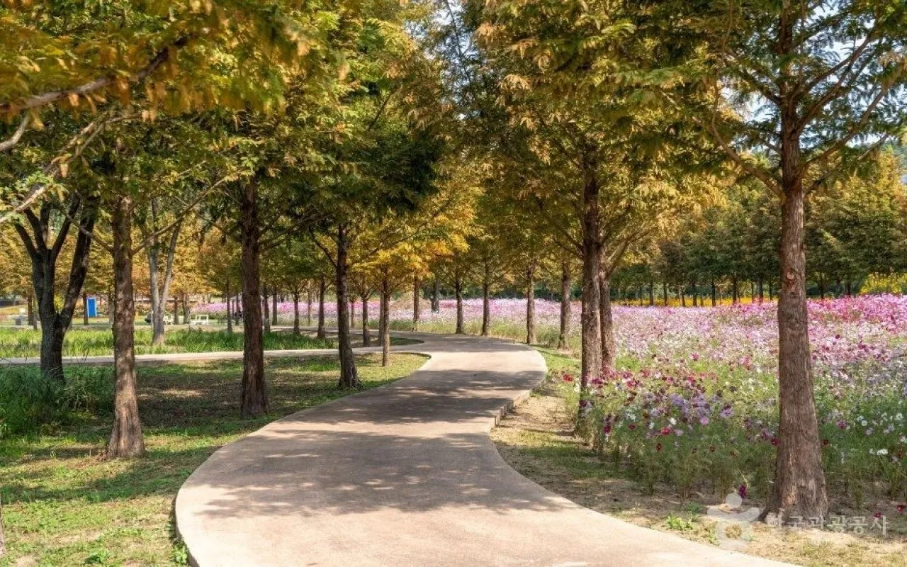 파로호꽃섬 산책로. 한국관광고사 홈페이지