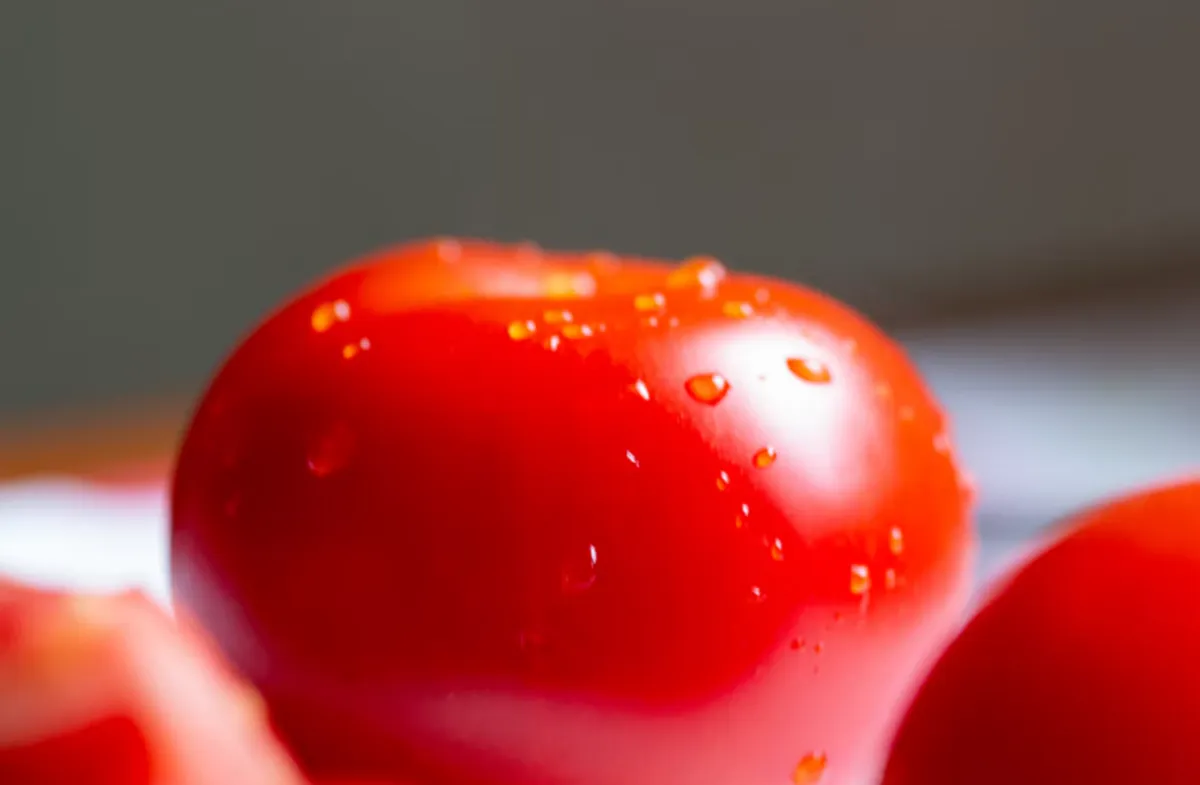 사진 : 토마토 / unsplash.com