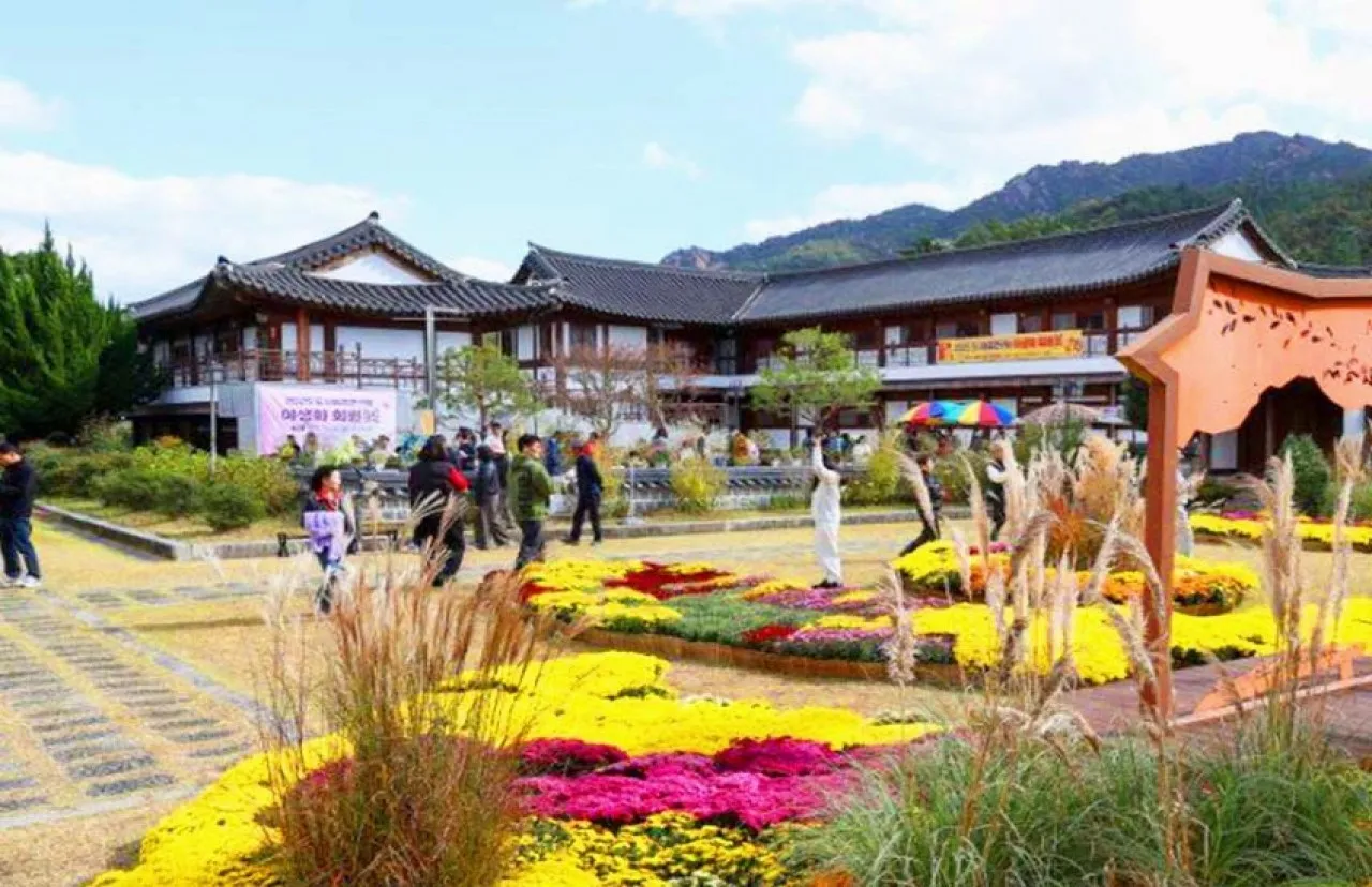 월출산 국화축제 경관 / 사진=한국관광콘텐츠랩
